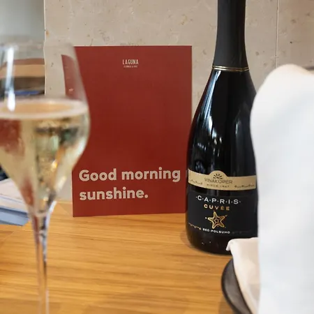 Laguna Deluxe - Terme Krka 4*