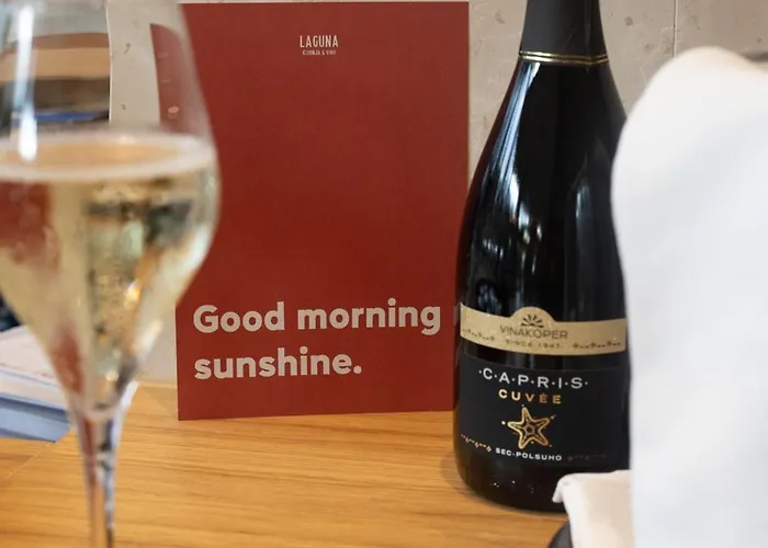 Laguna Deluxe - Terme Krka 4*